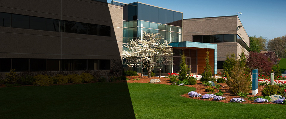 Frisco City Landscapers