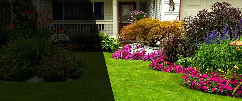 Frisco City Landscapers