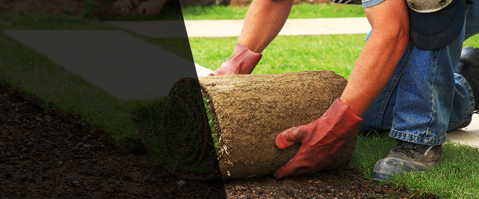 Frisco City Landscapers
